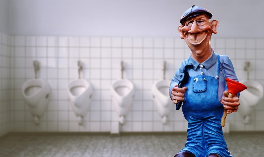 Comment éviter les fuites d’eau dans les toilettes ?